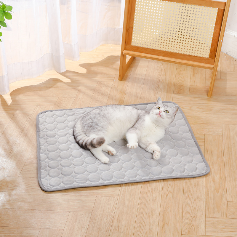 Tappetino Refrigerante per Can - Cooling Blanket Hot Sleepers recensione e prezzo